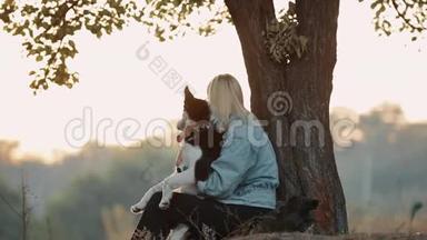 女人和狗在大自然中玩耍，坐在树附近。 和宠物一起享受夏天。